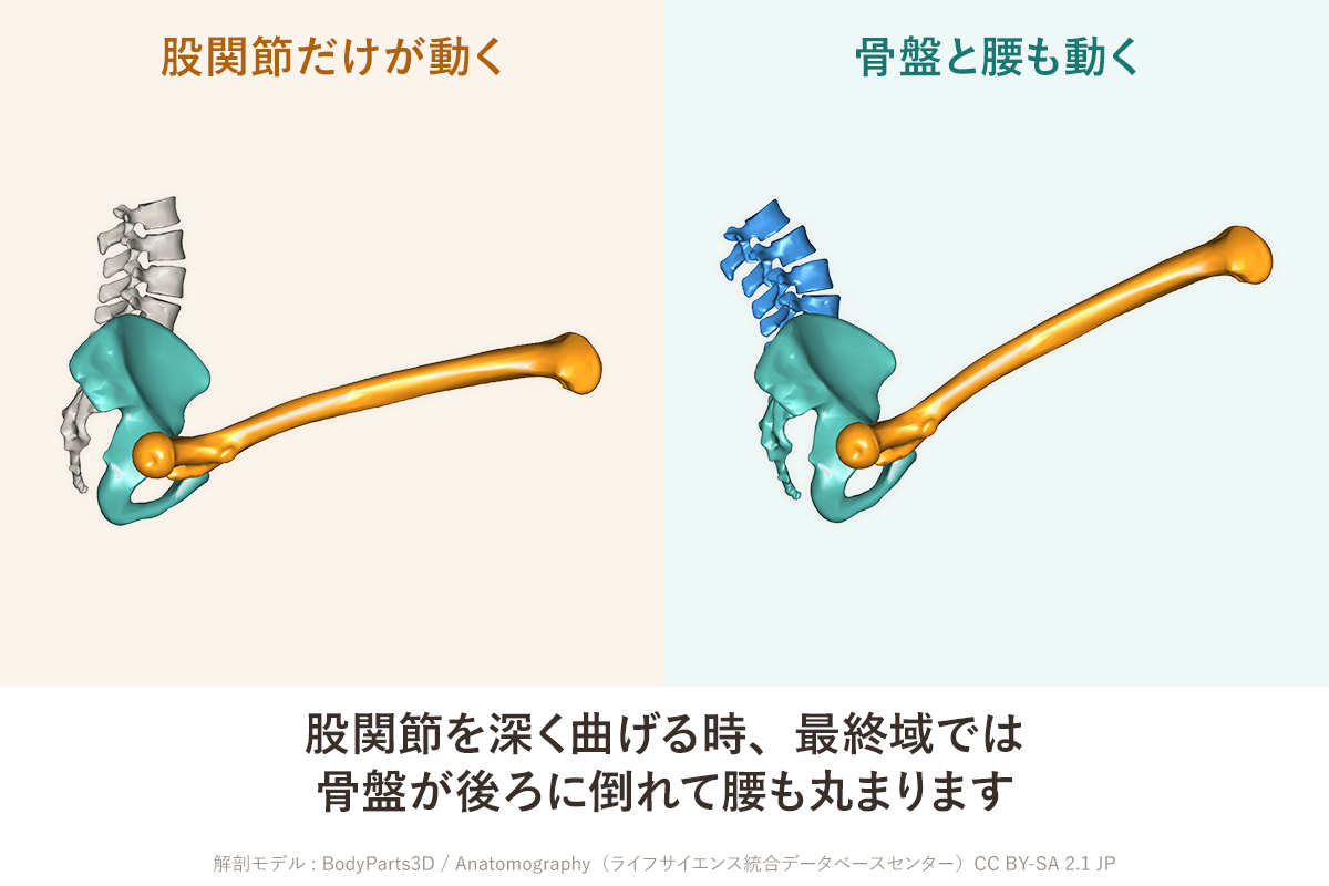 股関節のストレッチを続けても柔らかくならない理由